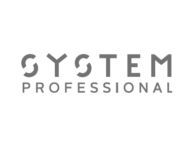System professional